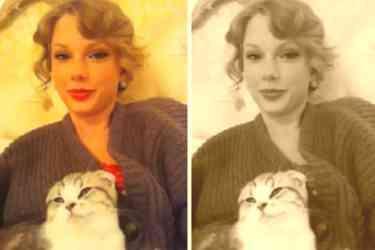 Taylor Swift pierde su gato y enloquece