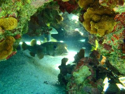 Los Roques: beach style
