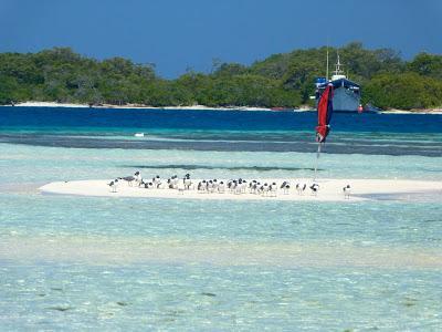 Los Roques: beach style