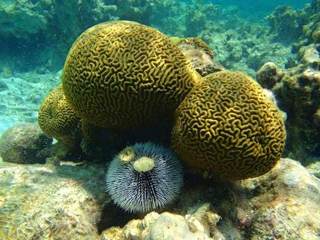 Los Roques: beach style