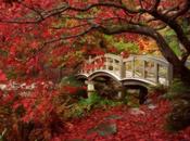 Ryuichi Sakamoto.....la esencia sonido japonés...