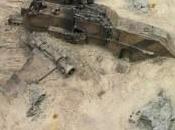 Novedades Forge World #341
