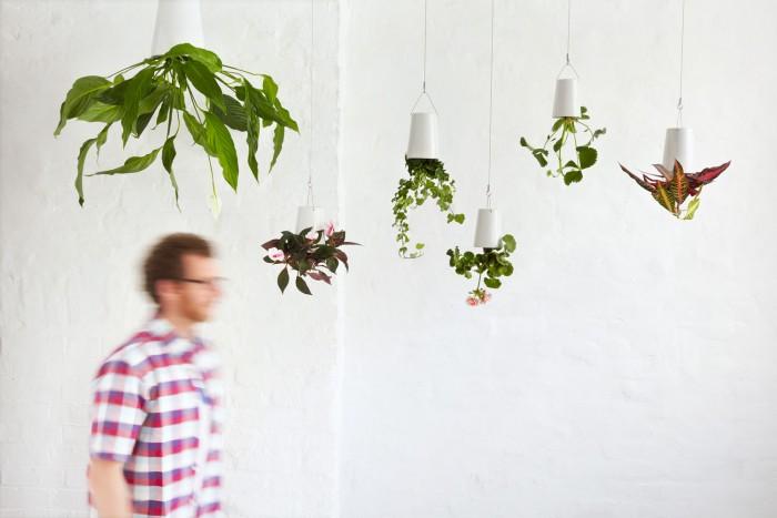 A falta de espacio, plantas colgantes