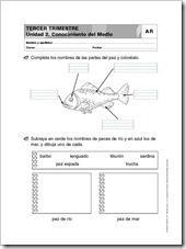 Actividades refuerzo 3_Página_06
