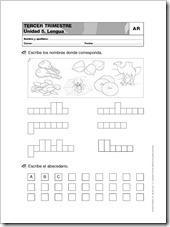 Lengua para primer grado