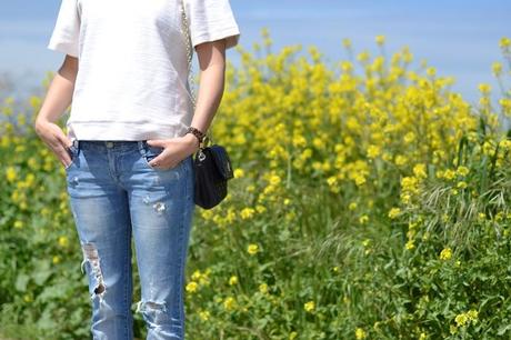 PeArLs&sWeAtShIrT; ……..