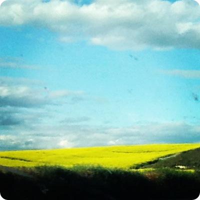 BEAUTIFUL LANDSCAPE