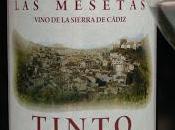 MESETAS 2009, juventud ilusión.