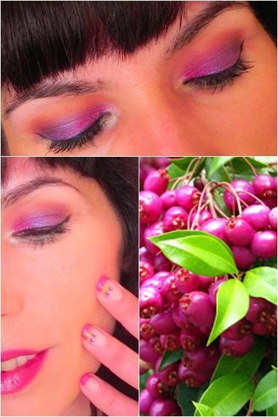 Un poquito de trópico: hoy, Lilly Pilly