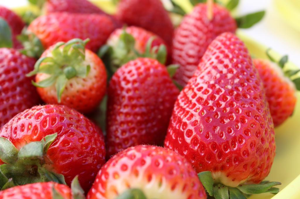  photo IMG_2941_zps3fa9add0.jpg