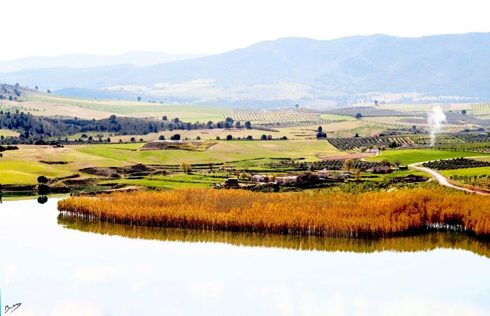 Efecto Acuarela con Photoshop.