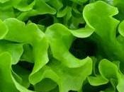 Dieta para controlar olor corporal