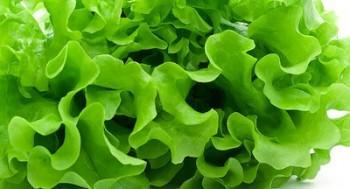 Dieta para controlar el mal olor corporal