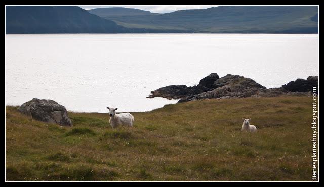 Neist Point  Isla de Skye (Escocia)