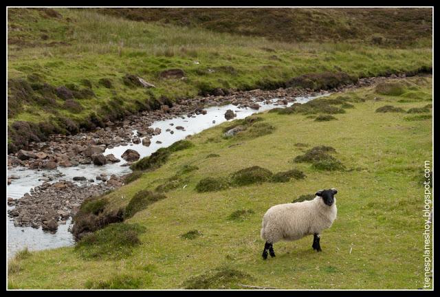 Isla de Skye (Escocia)