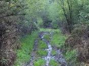 Seguimos montuneando