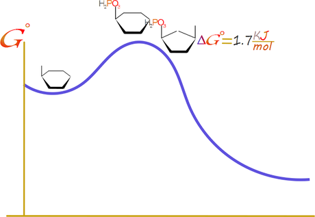 2do paso: Glucosa-6-P isomerasa