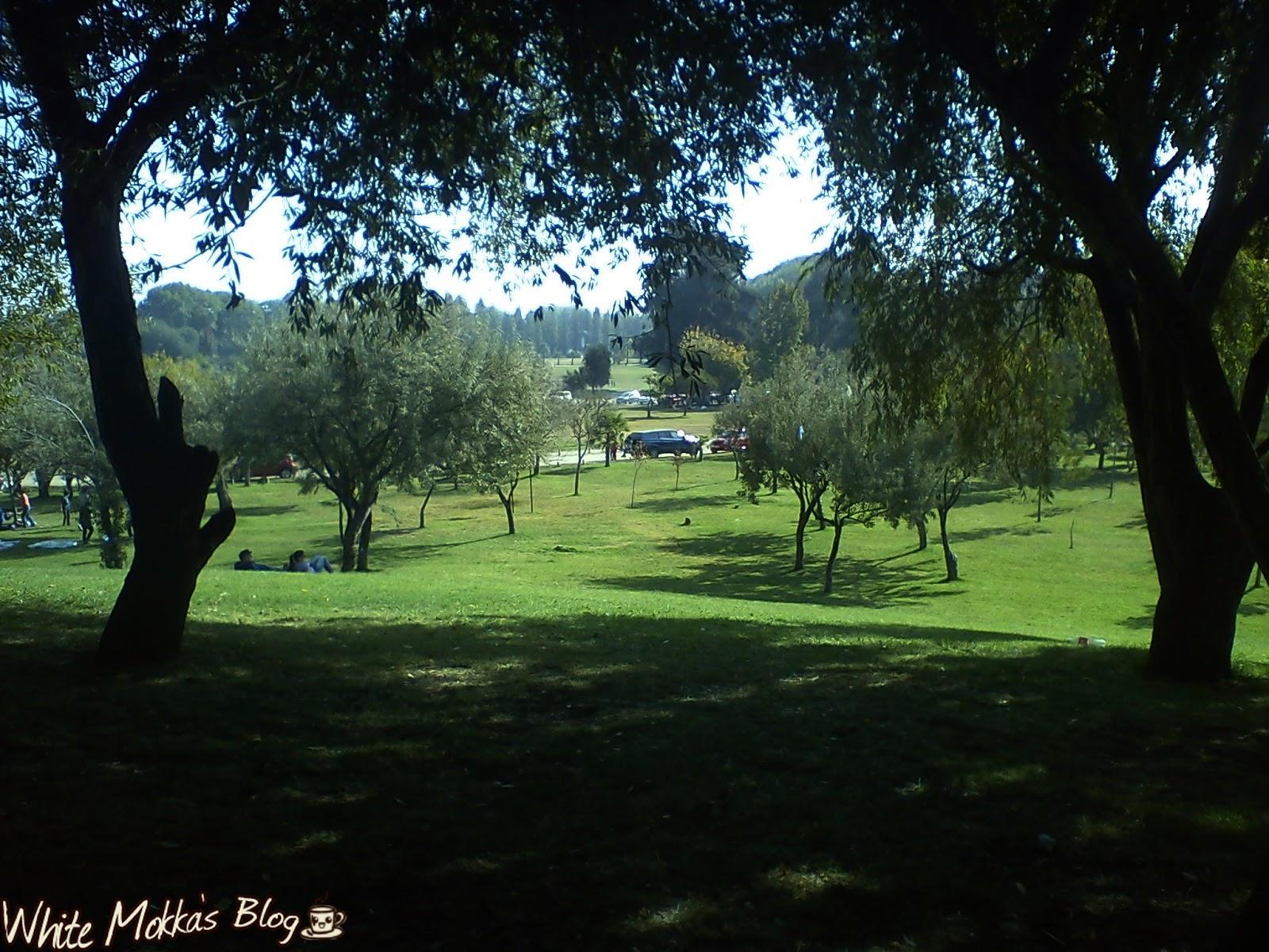 Parque Padre Hurtado + Feria del Libro