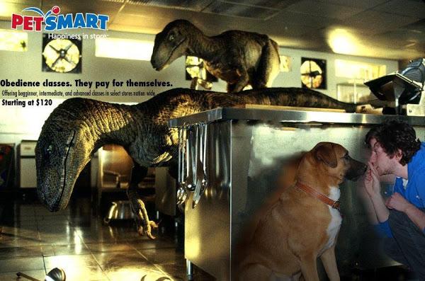 Pet Smart Obedience Classes