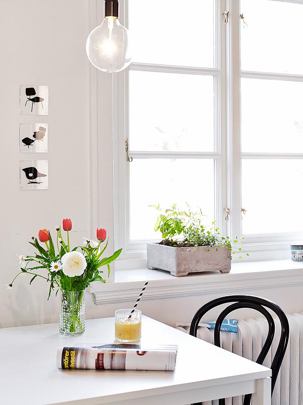 Inspiración en blanco y negro