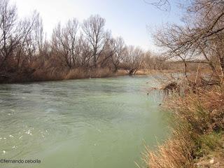 El río Gállego. 