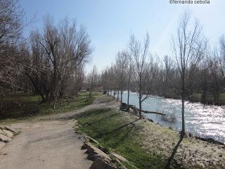El parque fluvial del río Gállego, en Zuera.