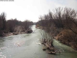 Desde el puente de las Galias.