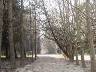 Retorno: opción dos.