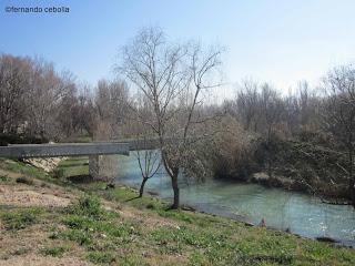 El parque fluvial del río Gállego, en Zuera.