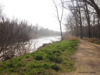  Retorno: opción uno.