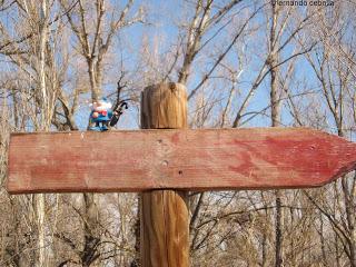El parque fluvial del río Gállego, en Zuera.