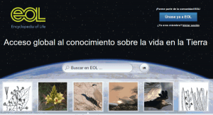 Recursos educativos imprescindibles para estudiantes modernos Selection_268-600x327