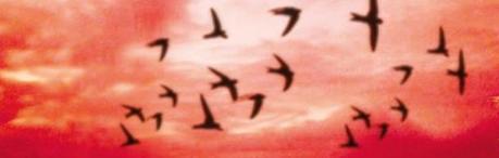 Reseña de Literatura | Nubes de Kétchup, de Annabel Pitcher Reseña de Literatura | Nubes de Kétchup, de Annabel Pitcher