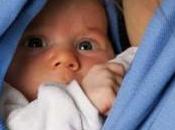 Oferta portabebés Lana