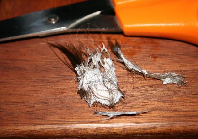 Chicle, chicle y más chicle ¡UGH!