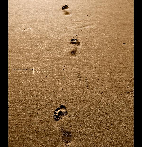 Los pasos de nuestra vida