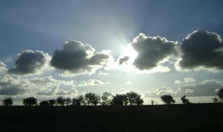 Primavera, alimento de las emociones Primavera, alimento de las emociones