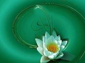 Mensaje Semanal Maestro Ascendido Hilarión