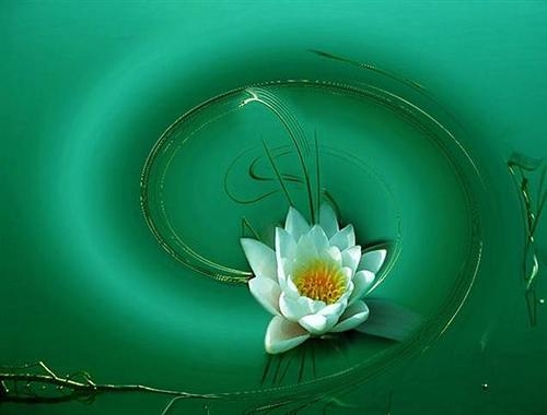 Mensaje  Semanal del Maestro Ascendido Hilarión-Del 14 al 21 de abril, 2013-