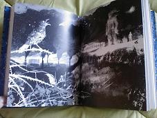 Un monstruo muy singular Un monstruo muy singular