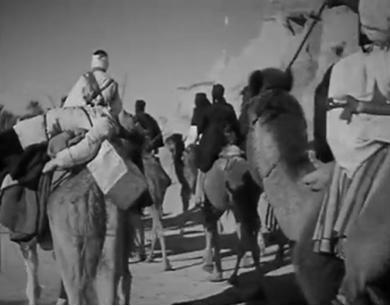 Este Cine es Nuestro: ¡Y gracias a nosotros mismos! Este Cine es Nuestro: ¡Y gracias a nosotros mismos!