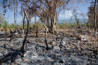 MA incrementa vigilancia en Sierra Bahoruco.