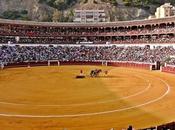 Aprobado nuevo pliego Malagueta