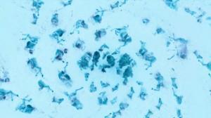 Los cadáveres han desaparecido del Puño de los Primeros Hombres