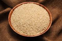 propiedades del Ajonjoli