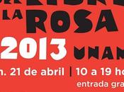 Fiesta libro rosa 2013