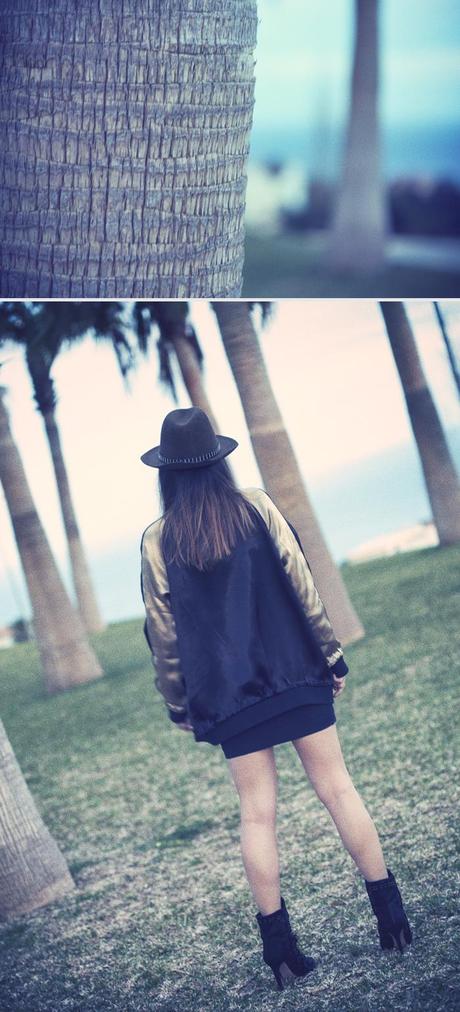 between palm trees between palm trees