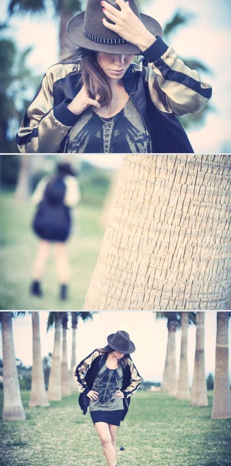 between palm trees between palm trees