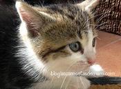 Miércoles mudo Misterios naturaleza