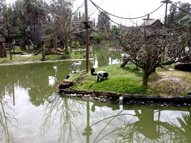 Zoo de Lagos (parte II)